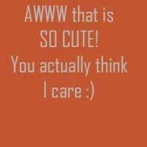 Meet your Posher, Joe